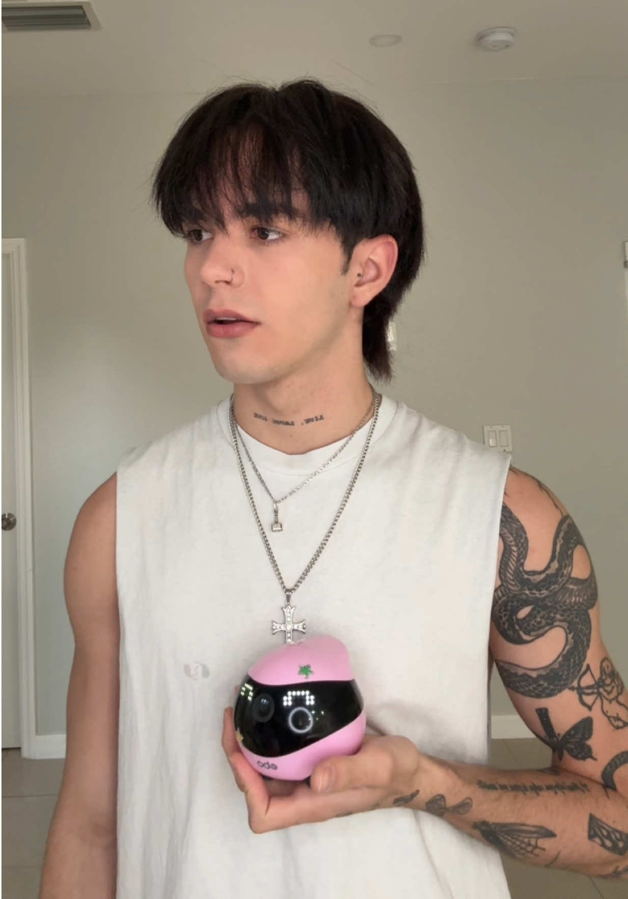 A post by @carlhoos_ on TikTok caption: Nuevo integrante a la FAMILIA 🧚🏻‍♀️ 🍫🥰 #carlosalbertofuentes #carlosalberto #carlhoos_ 