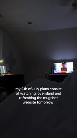 A post by @mayagoz on TikTok caption: we’re not celebrating over here #july4th #trumpsucks 