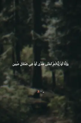 A post by @soyorew7 on TikTok caption: #قران_كريم 