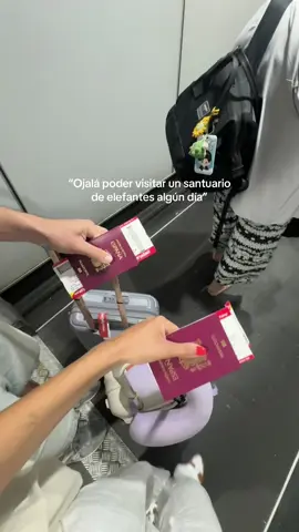 A post by @andreanoguero22 on TikTok caption: Tailandia no deja de sorprendernos❤️‍🩹