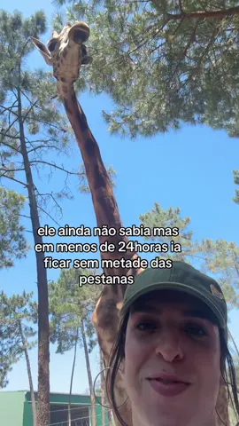 A post by @kikoishot on TikTok