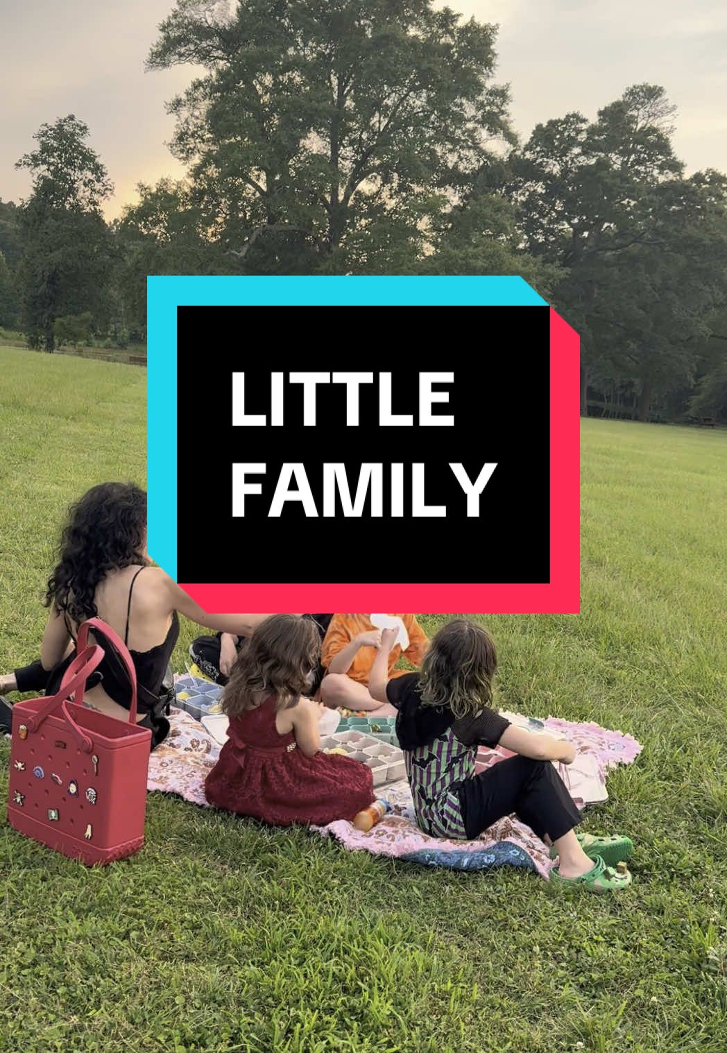A post by @rebyhardy on TikTok caption: Trying to stay positive #househardy #family #momtok #bigfamily #momlife #picnic 