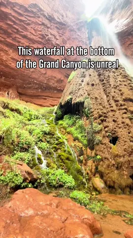 A post by @welcometoarizona on TikTok caption: Found a hidden gem! 💧🌄 A waterfall at the bottom of the Grand Canyon!⁠ Credits: @tanyacasas  ⁠ #GrandCanyon #HiddenGem #ArizonaAdventures #WaterfallsAZ #NatureLovers #DesertViews #WelcomeToArizona #HikingArizona #BucketListSpots 