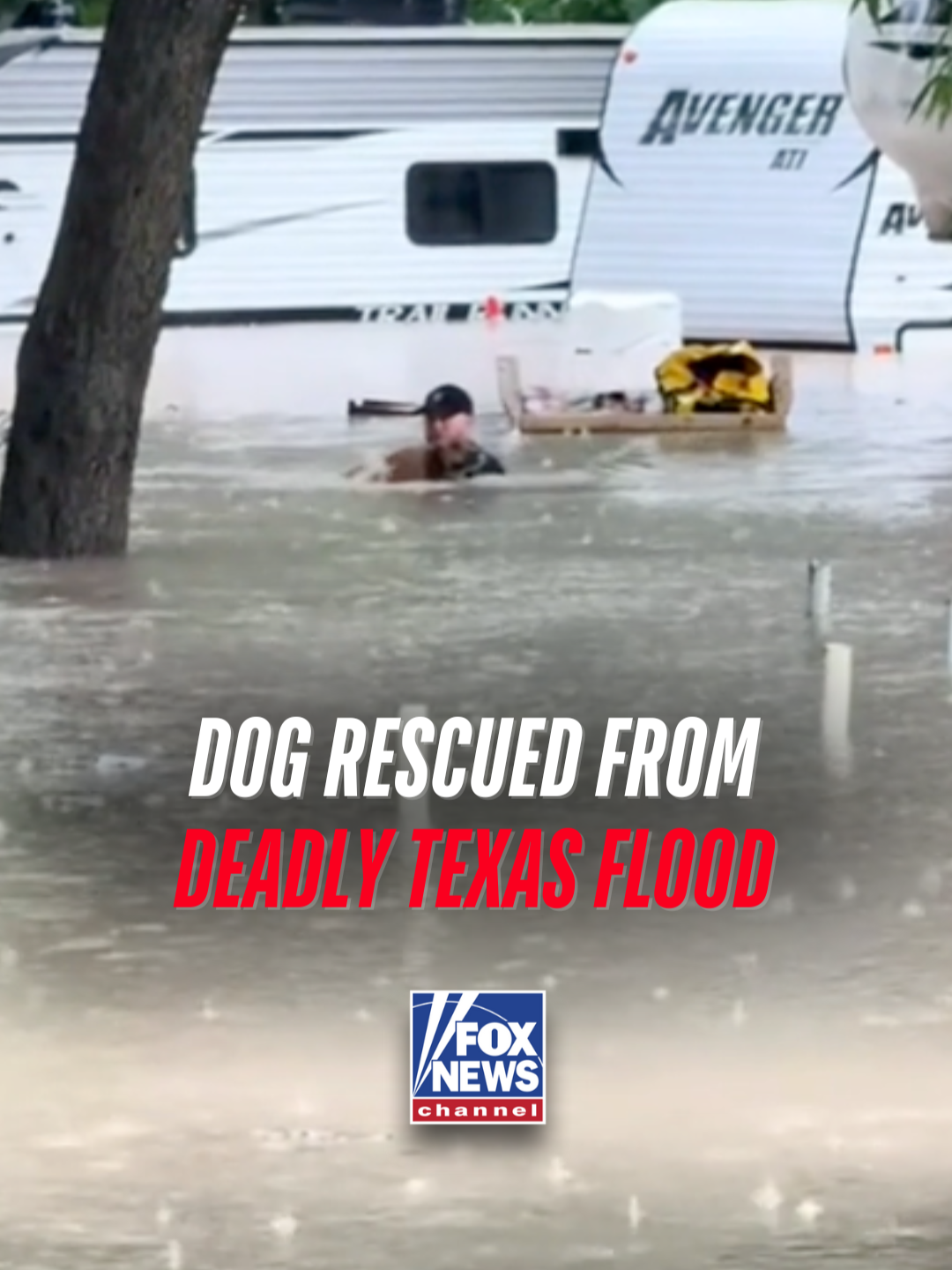 A post by @foxnews on TikTok caption: Man rescues dog during deadly flooding in Texas.