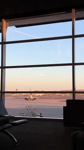 A post by @graciewetherbee on TikTok