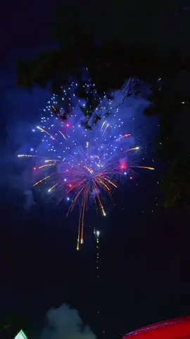 A post by @ashleymckenzie on TikTok caption: All I seee is fireworrrkkkksss 🎶