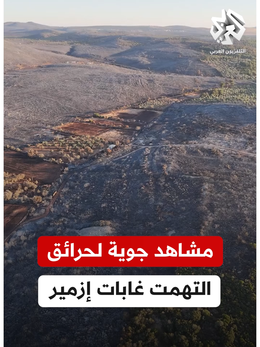 A post by @alarabytv on TikTok caption: من غابات خضراء إلى رماد أسود.. مشاهد جوية تظهر حجم الدمار في ولاية إزمير بعد أيام من الحرائق المستعرة  #التلفزيون_العربي #أخبار #تركيا