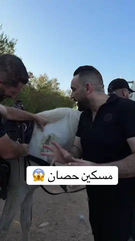 A post by @yy_3055 on TikTok caption: #محمد_ابوهنيه #محتوى_تعليمي_مميز❤️ #القطعة_الاصليه #خيل_وخياله🐎 