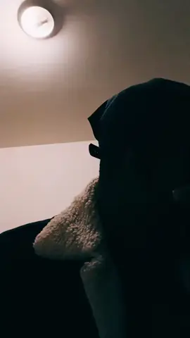 A post by @guignolsoninke on TikTok