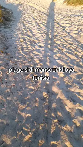 A post by @nizarofitch on TikTok caption: #ااجزائر🇩🇿_تونس🇹🇳_المغرب🇲🇦 #االهم_صلى_على_نبينا_محمد #ليبيا_طرابلس_مصر_تونس_المغرب_الخليج #الشعب_الصيني_ماله_حل😂😂 #fouryou #اكسبلور #fyp 