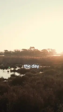 A post by @ on TikTok