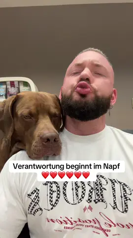 A post by @boneshandsanimals on TikTok caption: 🐾 Happy Belly, Happy Dog – Magen-Darm-Pulver für deinen Vierbeiner! Bauchgrummeln? Durchfall? Grasfressen? Nicht mit uns! Unser Magen-Darm-Pulver unterstützt die Verdauung deines Hundes mit einer smarten Kombi aus hochwertigen, natürlichen Inhaltsstoffen – für eine starke Darmflora und einen rundum glücklichen Hund. ✨ Dein Vorteil auf einen Blick: ✅ Hilft bei Verdauungsproblemen wie Durchfall, Erbrechen oder Grasfressen ✅ Fördert gesunde Darmbakterien, reduziert schlechte Keime ✅ Unterstützt das Immunsystem mit speziell ausgewählten Darmkulturen ✅ Mehr Vitalität dank abgestimmtem Vitamin-B-Komplex 🐶 Einfache Anwendung, volle Akzeptanz: ✔ Einfach übers Futter geben – wird gerne gefressen ✔ Frei von Getreide, künstlichen Zusätzen & Konservierungsstoffen ✔ Hypoallergen & vegan, perfekt für empfindliche Hunde ✔ Keine Schwermetalle, schonend hergestellt 🇩🇪 Made in Germany: Hergestellt & geprüft in Deutschland, gemeinsam mit Tierärzten entwickelt und in lichtgeschützter Verpackung für optimale Haltbarkeit abgefüllt. Dieses Pulver eignet sich perfekt für die tägliche Fütterung, um die Darmflora nachhaltig aufzubauen und deinem Hund zu helfen, das Leben wieder mit voller Energie zu genießen. 🌿 Schenke deinem Hund einen gesunden Darm – jeden Tag. #foryou #asmr #animal #chiropractortiktok #türkiye #hundeauftiktok #hund #tiere #Love #animals #gelenk #bochum #chiropractic 