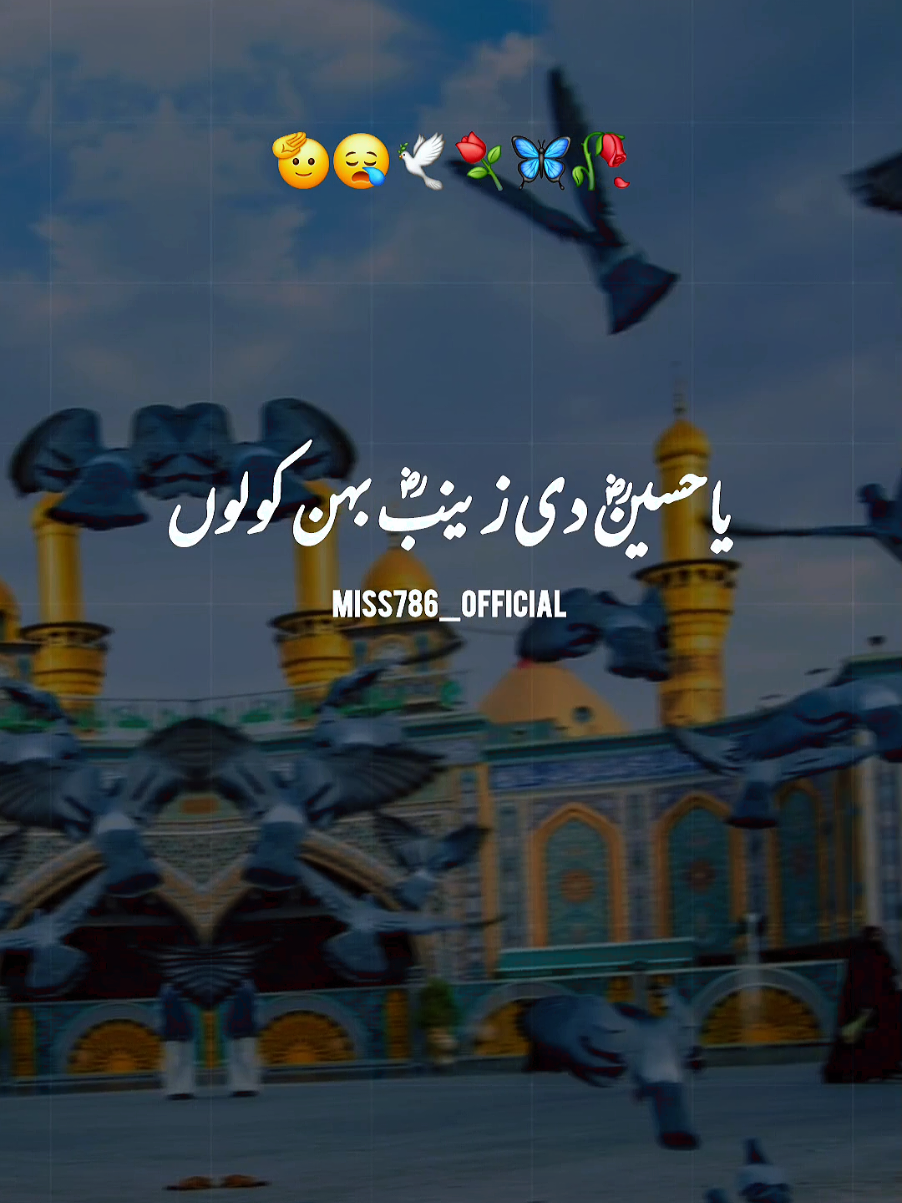 A post by @miss786_official on TikTok caption: لَا إِلٰهَ إِلَّا اللّٰهُ مُحَمَّدٌ رَسُولُ اللّٰهِ‎😍 #10muharram #islami_new_year #2025 #miss786_official 