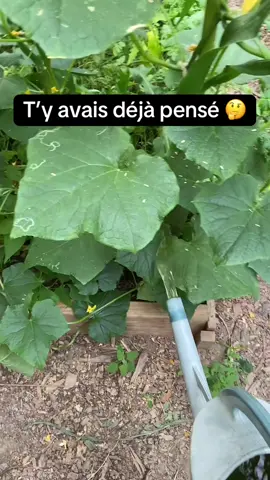 A post by @alex777terieur on TikTok caption: #jardinage #astuce #reflexion #nature 