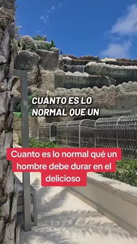 A post by @yolandagarcia.r on TikTok