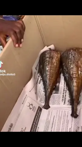 A post by @diomademariam on TikTok