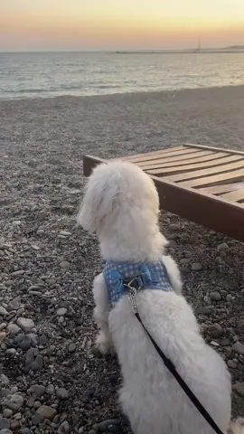 A post by @cristinacriss773 on TikTok