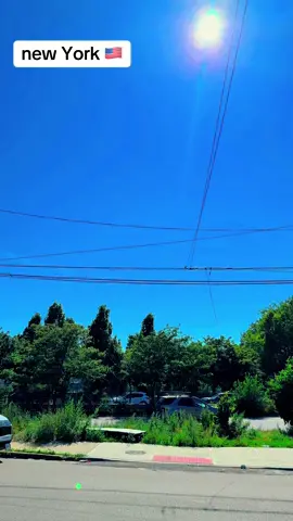 A post by @alshahrian00 on TikTok