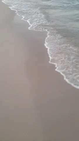 A post by @nizarofitch on TikTok caption: #اكسبلور #fouryou #fyp #الشعب_الصيني_ماله_حل😂😂 #ليبيا_طرابلس_مصر_تونس_المغرب_الخليج #france🇫🇷 #ااكسبلور_2020 