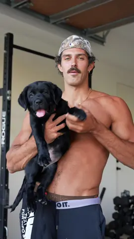 A post by @stevenkellly on TikTok caption: meet my new workout partner!! 