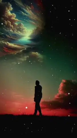 A post by @daphnejenkins3 on TikTok caption: Whatever you do in life fly high #fyp 