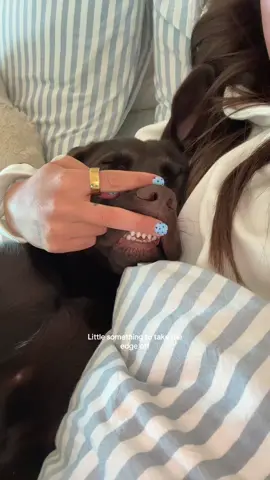 A post by @graciewetherbee on TikTok