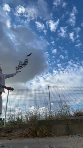 A post by @lulifamily3434 on TikTok caption: La fin est trop touchante 🕊️ le cri de Greg quand l’oiseau s’envole 😂