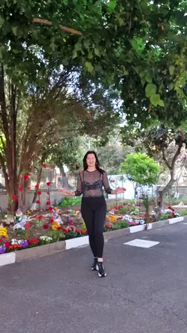 A post by @mirelin24 on TikTok