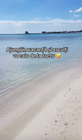 A post by @rebecaadriana4 on TikTok
