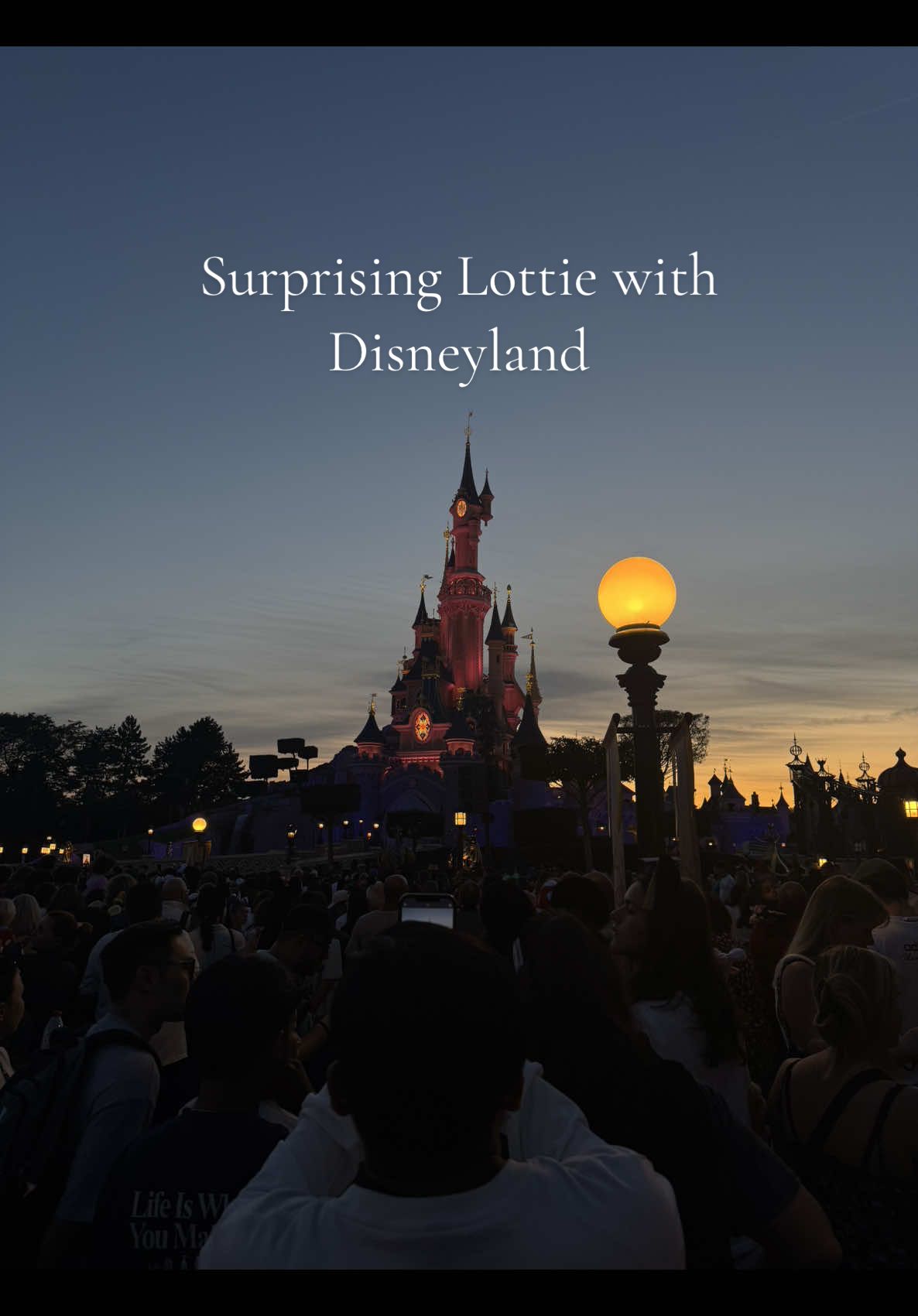 A post by @brandese on TikTok caption: Well here it is🥹🎀💖🐭🏰