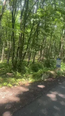 A post by @adamferenc69 on TikTok caption: @Diag_G.Autodiagnosztika @Döndi Duó Roli @LincosRo @Ruzsa Attika @Akos Szenasi @JozsaJonatan  Fél 1 millió Ft-os játék kaput és napokon augusztus 2. és három