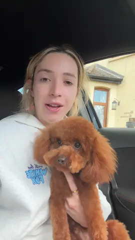 A post by @gkbarry on TikTok caption: #fyp Ella’s reaction every time 