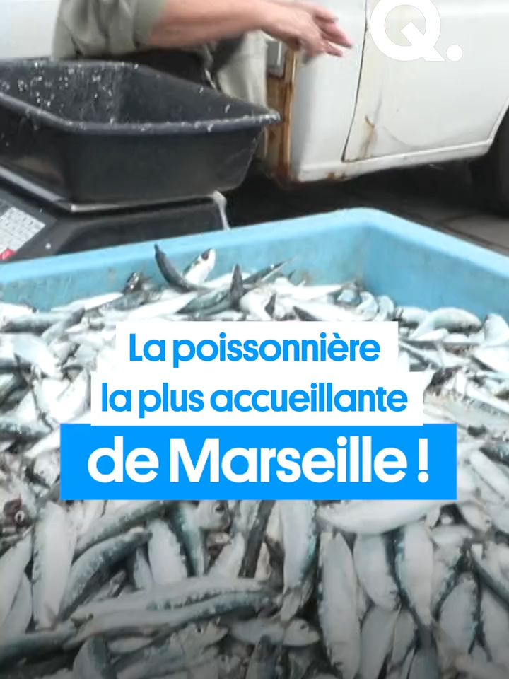A post by @quotidienofficiel on TikTok caption: [REDIFFUSION] On a recroisé notre poissonnière pref de Marseille et elle a pas changé, franchement ça fait plaisir ! #tiktokfrance #onregardequoi #quotidien #actu #humour #marseille