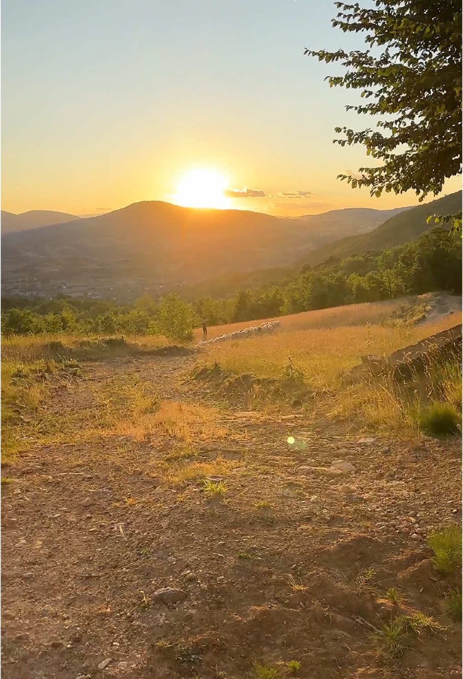 A post by @mystic.kitchenn on TikTok caption: #fy #fyp #bbno$ 