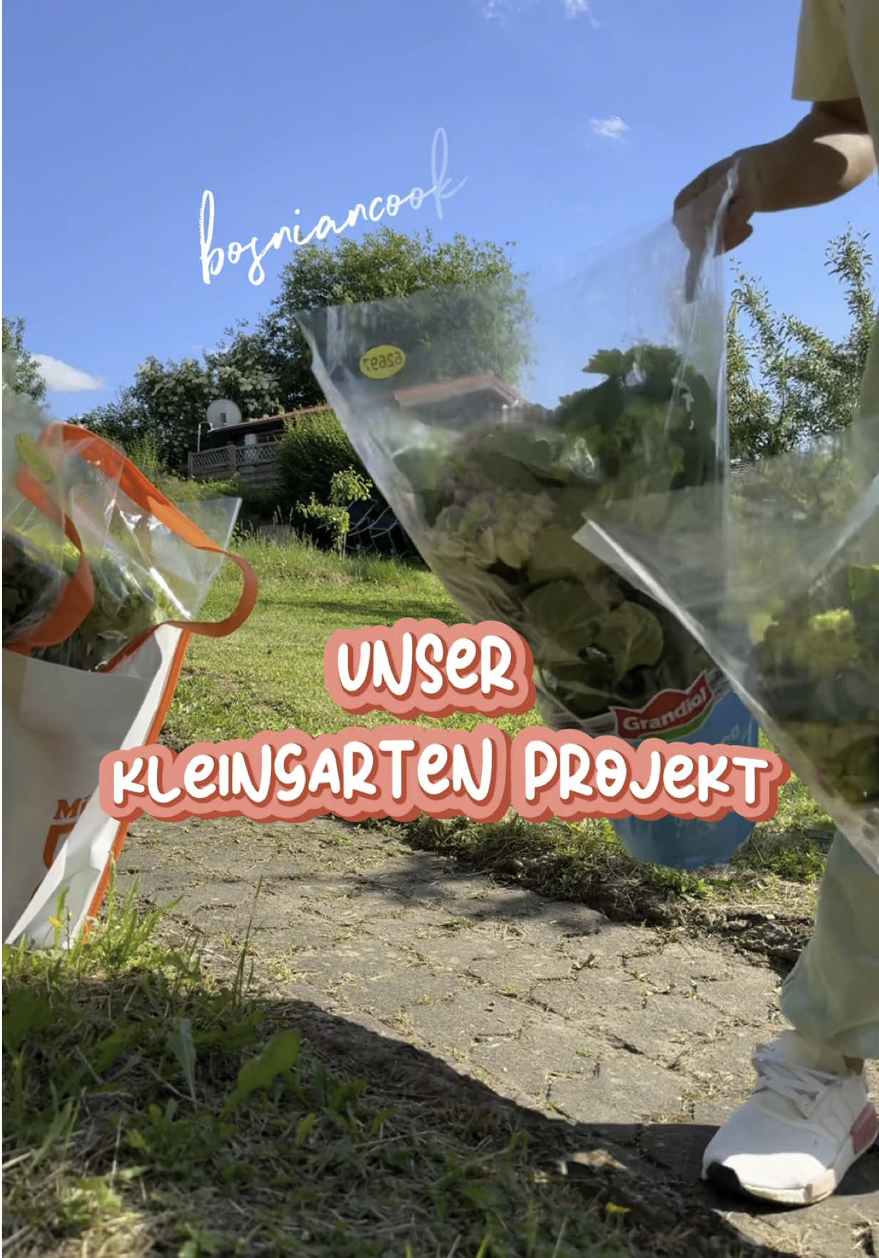 A post by @bosniancook on TikTok caption: Unser Kleingarten Projekt ✨ Part 5 #balkan #bosna #jugo #srbija #hrvatska #yugo #bosnaihercegovina #bosnien #jugoslavija #balkanküche #starinsko #kleingarten #garten #selo #gärtner #dvoriste #Summer #leto #lijeto