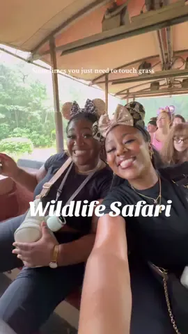 A post by @badbrownskinnn on TikTok caption: @Disney Parks Animal Kingdom will forever be my favorite park because you truly get to have the coolest experiences with wildlife. Such a beautiful reminder that the world is so much greater than us alone 🤎 #disneyworld #animalkingdom 