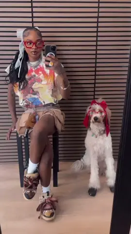 A post by @tenommmmm on TikTok caption: #dogs #dogsoftiktok #cyrus #goldendoodle #goldendoodlesoftiktok #goldenretriever #poodle 