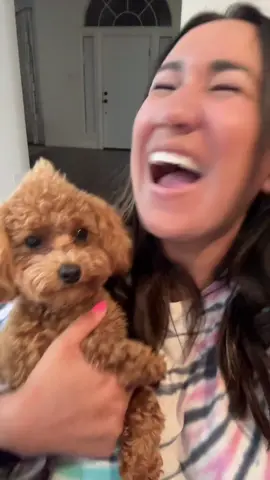 A post by @organizingspacesbykim on TikTok caption: Dog moms count! #imamommy #dogmom 