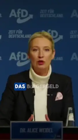 A post by @aliceimkummerland on TikTok caption: #klartext 
