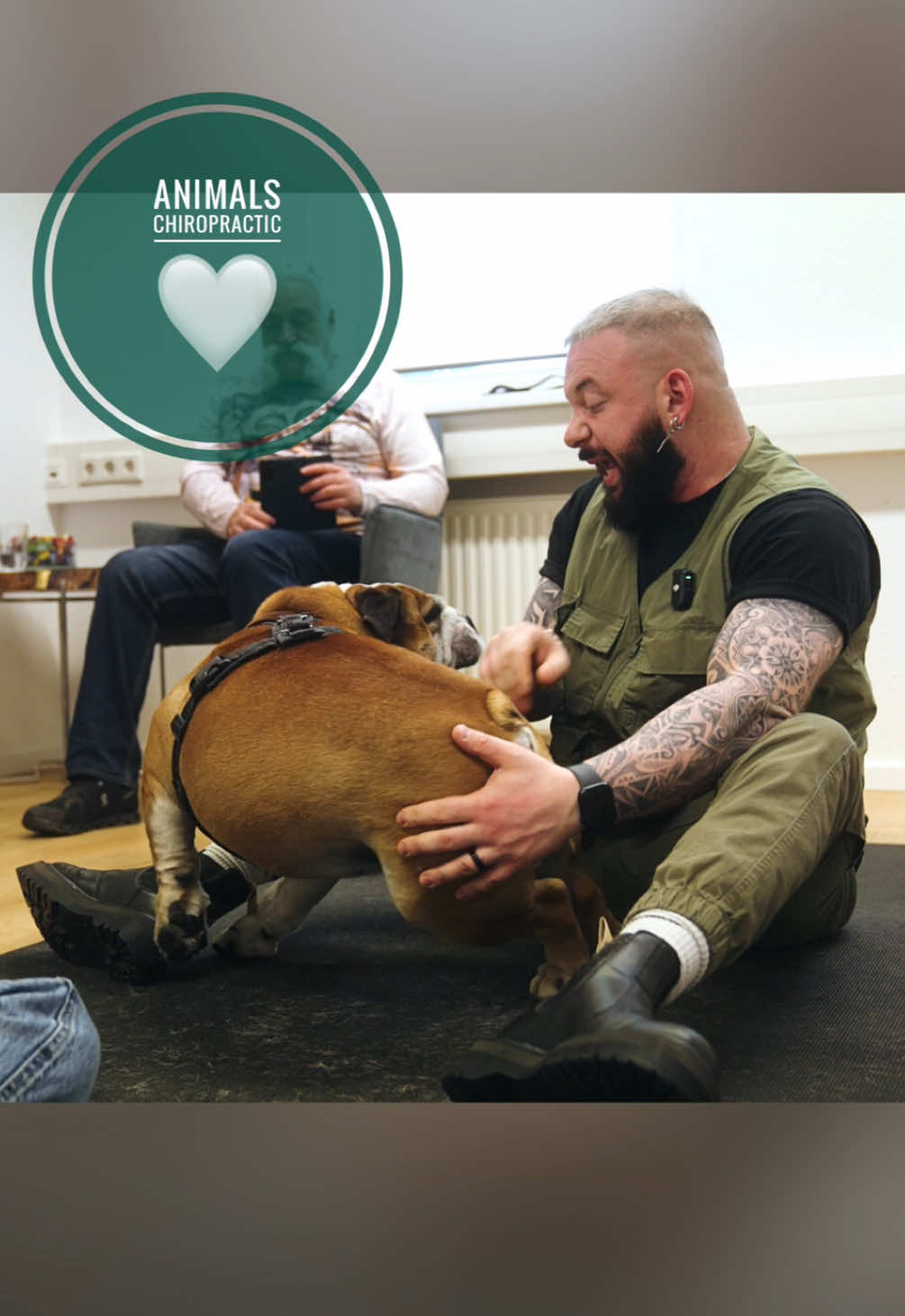 A post by @boneshandsanimals on TikTok caption: Dog with back pain 🥹🥹🥹 • • • #foryou #asmr #animal #chiropractortiktok #türkiye #hundeauftiktok #hund #tiere #Love #animals #bochum 