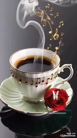 A post by @tourenoisylegrand1 on TikTok