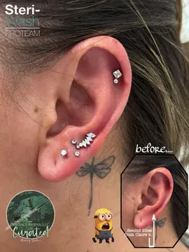 A post by @piercingsbyjenn on TikTok caption: This beautiful client came to me to address the huge gap in her 1st & 2nd lobes(done many, many moons ago as a teenager) She chose all these beautiful ASTM F-136 Implant grade titanium pieces. Her “2nd” we did this beautiful curved marquis graduated curve, we added a true 2nd and a set of stacked lobes. Then added this radiant helix(her previous one was no longer open…but done at a very bad angle so whew…) she did absolutely amazing and loved the outcome!! All jewelry from @HBJUS  💦aftercare always provided from @Steri-Wash PAC #steriwashproteamash 💦 Join me at my studio Curated @SolaTemeculaMurrieta @jo❤️  #piercings #piercing #pierced #piercingstudio #piercer #piercingsofinstagram #fyp #fypage #piercingideas #piercingjewelry #professionalpiercer #safepiercing #curatedears #piercingsbyjenn #piercingsoftiktok 
