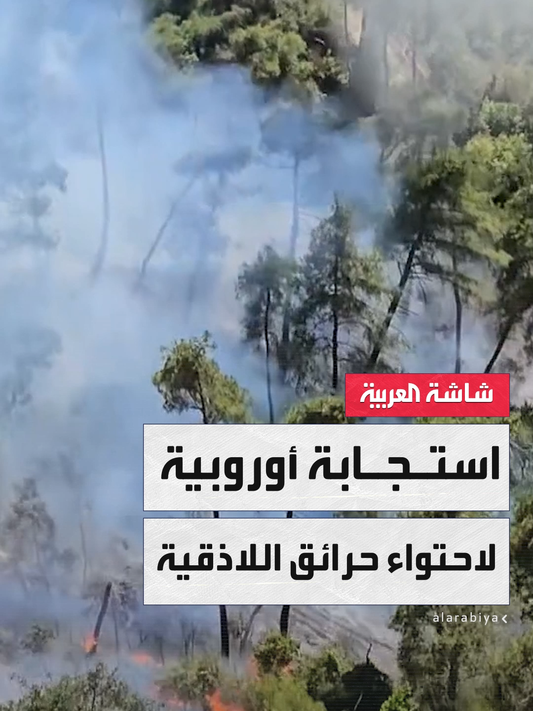 A post by @alarabiya on TikTok caption: مراسل العربية: الاتحاد الأوروبي يستجيب لطلب #سوريا بشأن المساعدة في احتواء الحرائق بعد تصاعدها في ريف #اللاذقية الشمالي #نشرة_الخامسة #قناة_العربية
