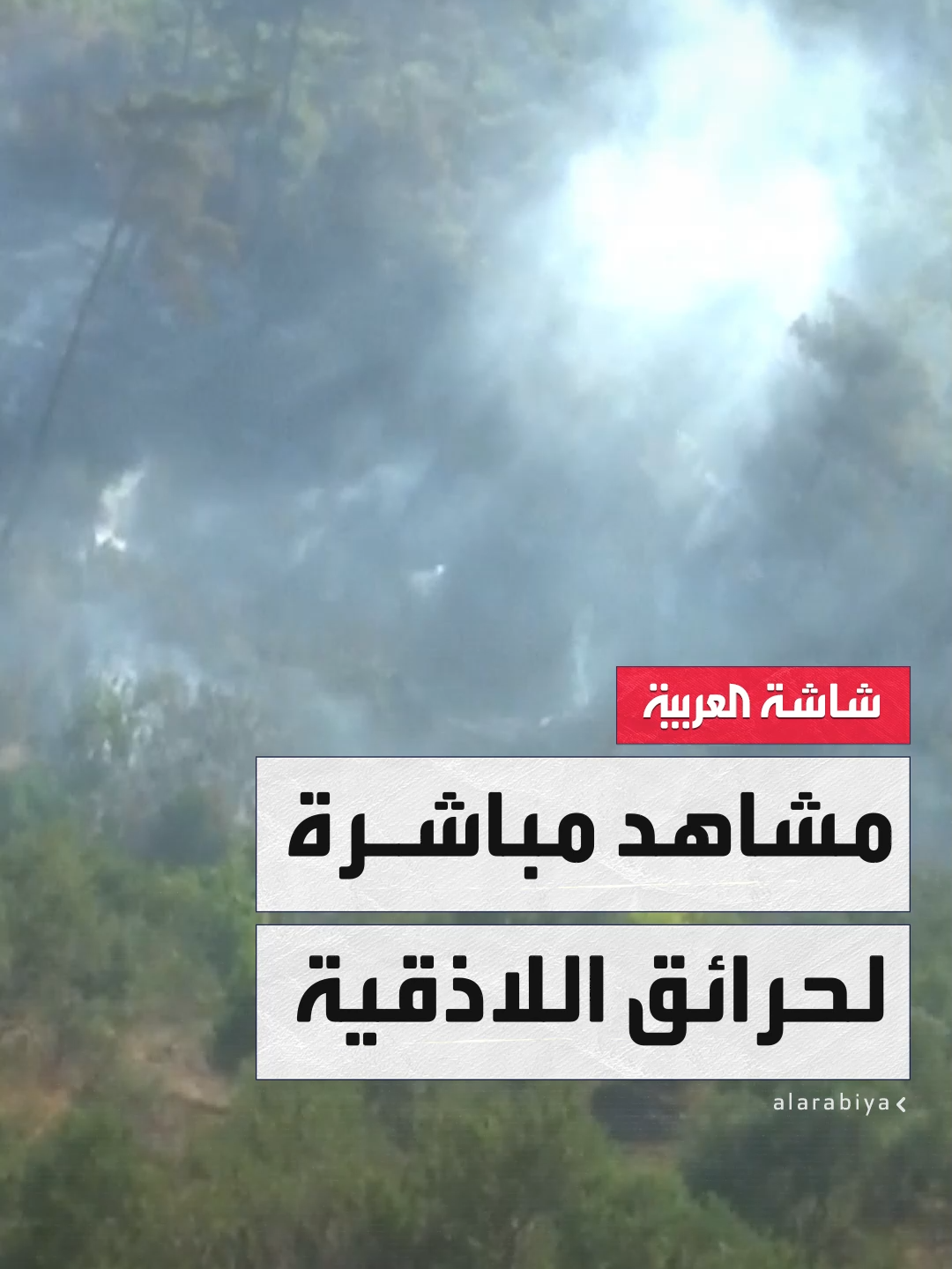 A post by @alarabiya on TikTok caption: مراسل "العربية" محمد هارون يرصد اشتعال الحرائق في أحراش ريف #اللاذقية الشمالي وسط جهود سورية ودولية لإخماد النيران #سوريا #تفاعلكم #قناة_العربية  @tafa3olcom