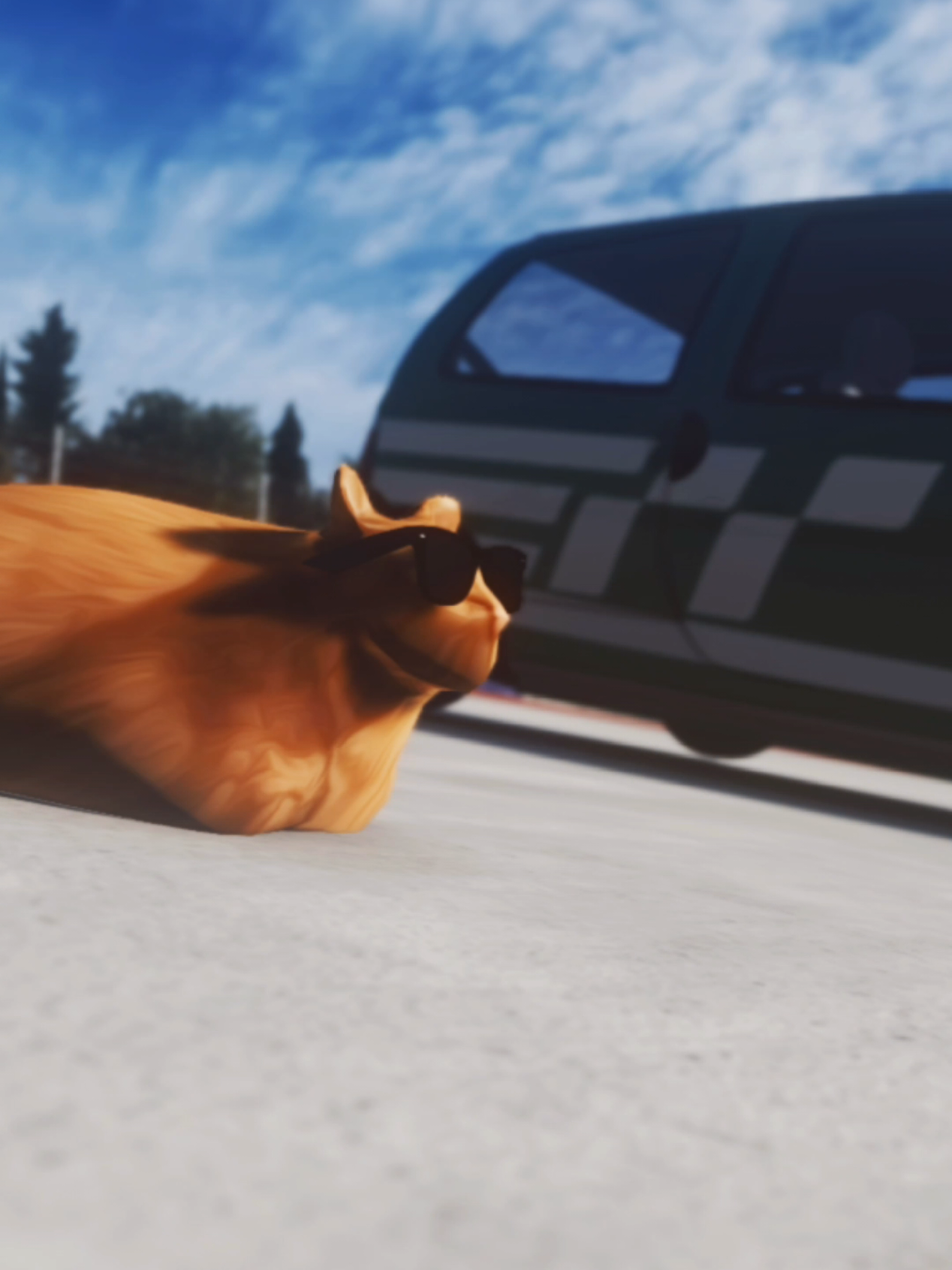 A post by @dmcgar on TikTok caption: @RauhRacing - proving big things come in small packages. #meow #pablo #animals #cat #cartok #catsoftiktok #fyp #speed #F1 
