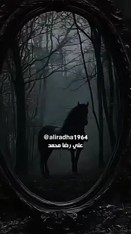 A post by @aliradha1964 on TikTok caption: #اقوال_وحكم_الحياة  #دار_الحق  #اكسبلورexplore 