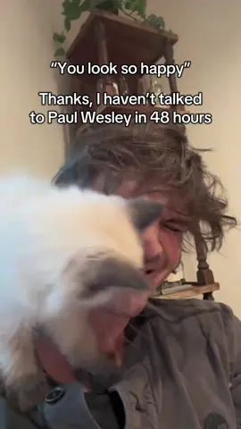A post by @iansomerhalder on TikTok caption: Pure bliss 😌