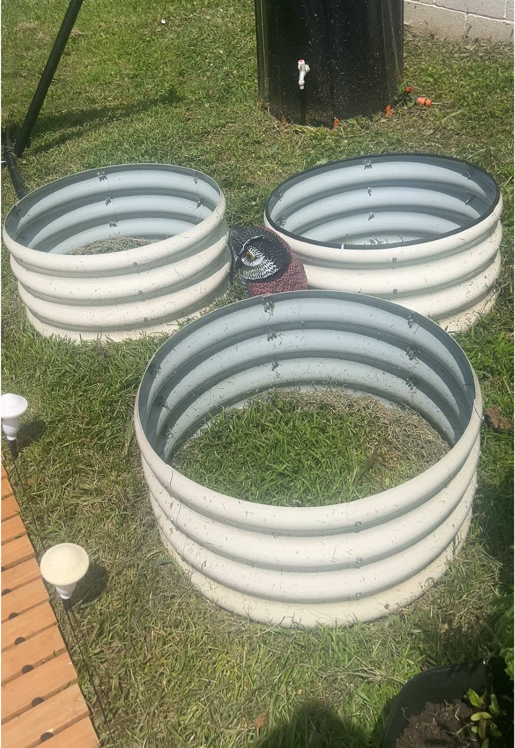 A post by @barbarasandre on TikTok caption: I loooove these circular raised garden beds that comes in a 3 pack 👏🏼 yall let me know what I should plant in them pleeeeassseee.