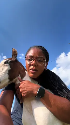 A post by @julie__perry on TikTok caption: Undecided on names, but let’s just say Phen, short for Fence, is being considered. There is a story behind it. 🤭