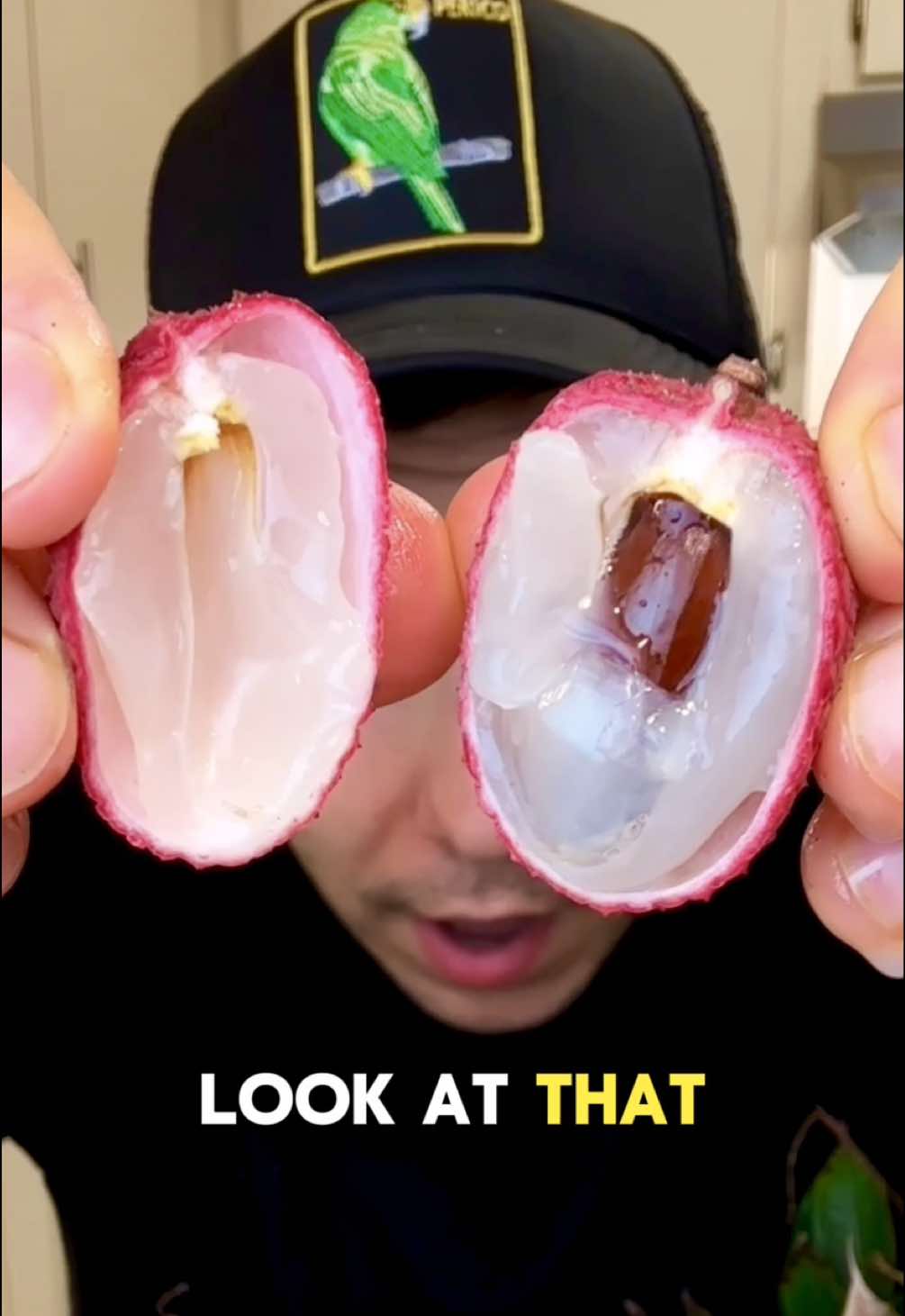 A post by @realnikocadoavocado on TikTok caption: Fresh Florida lychee 🔥  #nikocadoavocado #nikocado #lychee 